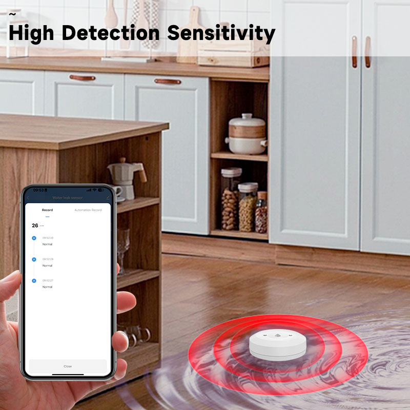 Tuya Zigbee2mqtt Su Daldırma S - Water Alarm Sensor incelemesi ve fiyatı