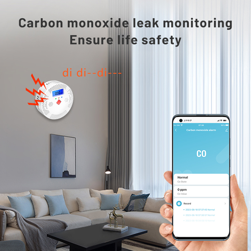Tuya WiFi akıllı karbon monoks - Co Detector Plug incelemesi ve fiyatı